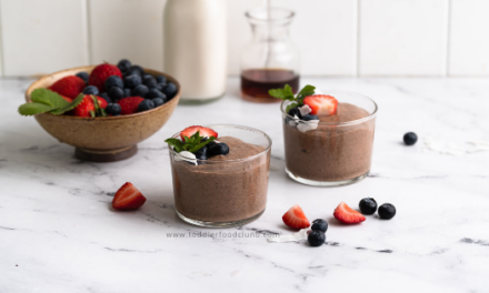 Chocolate Chia Pudding for babies and toddlers